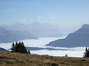 2010.09.02 Rigi